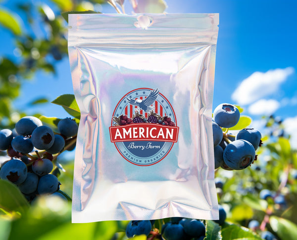 Organic Freeze Dried Blueberries (5.44 oz)